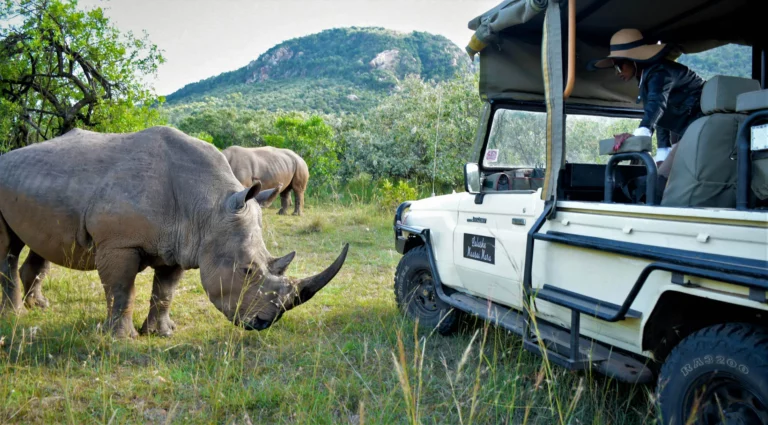 Luxury African Safari Trips: The Ultimate Guide to High-End Wildlife Exploration