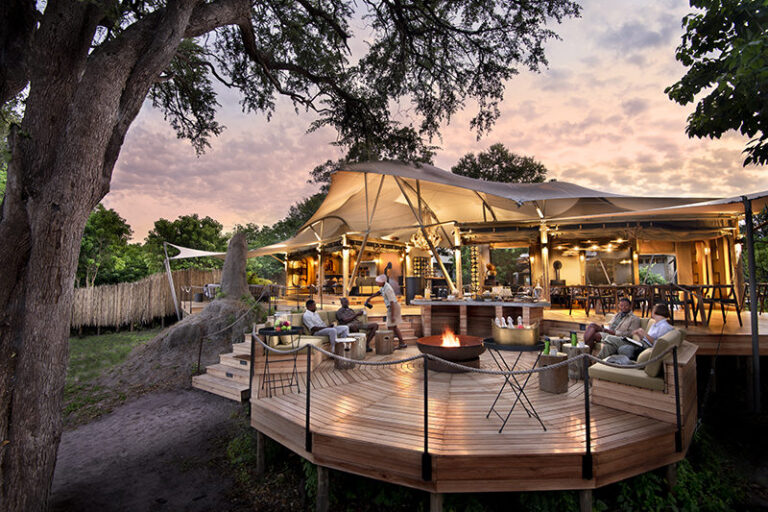Top Luxury Safari Companies Offering Exceptional African Experiences