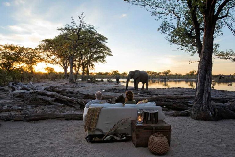 Discover the Ultimate Luxury Safari Vacation: Destinations, Experiences, and Real-World Examples
