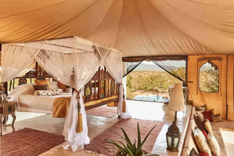 The Ultimate Guide to the Best Luxury African Safari Companies in 2025